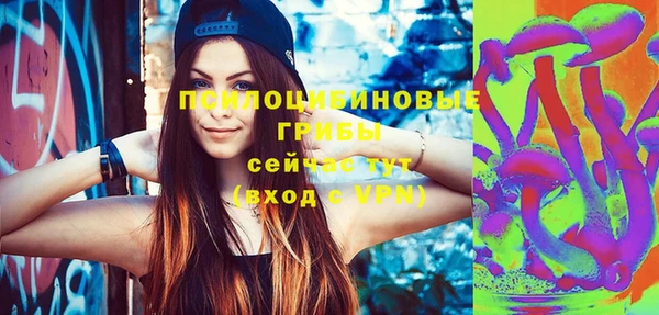хмурый Вяземский