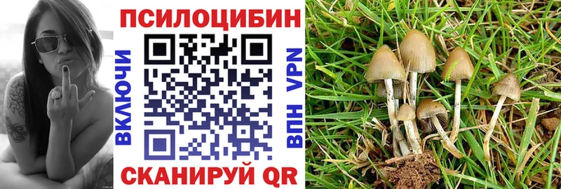 Галлюциногенные грибы Psilocybe Купить где Покачи